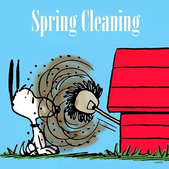 1snoopy_cleaning
